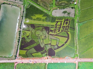 图片直播｜2025“乌蒙之巅”云南会泽村跑暨云南曲靖四季跑·秋天丰收乐跑季