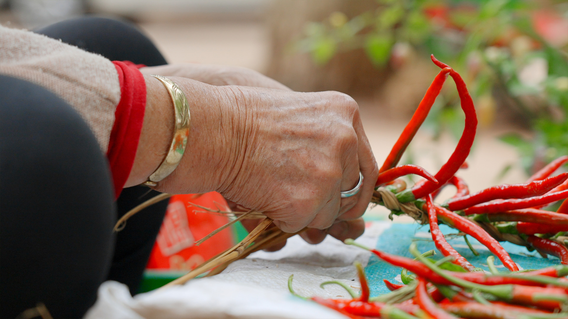 个人商用，农忙时节农村忙着穿红辣椒的农民老奶奶特写，视频素材