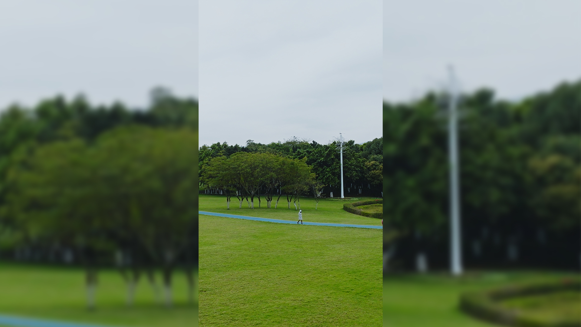 全域商用，红河开远幸福大草原冬季阴天竖屏，视频素材