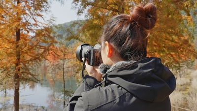 个人商用，摄影师拍摄甸尾村秋冬季水杉林，视频素材