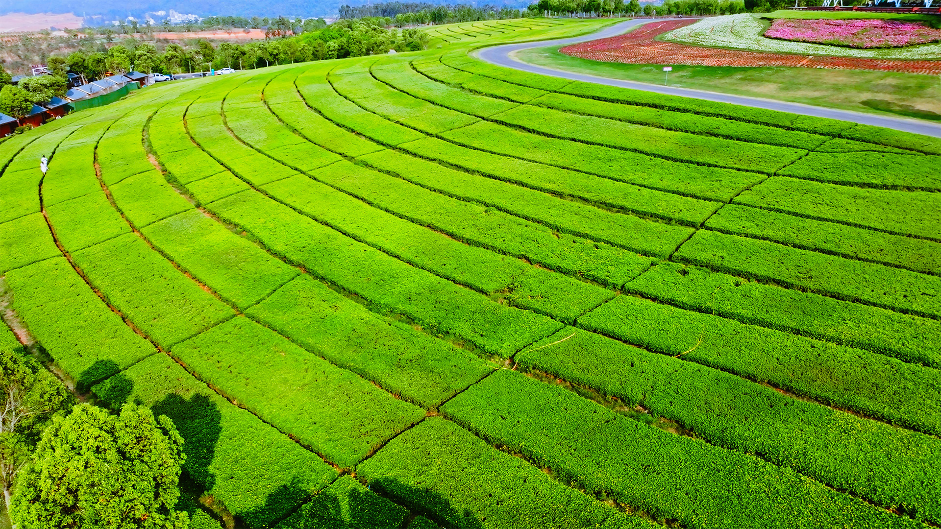 个人商用，云南省红河哈尼族彝族自治州弥勒市太平湖森林公园绿植花海湖泊航拍，视频素材