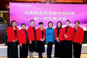 图片直播｜云南省女企业家协会第七届理事会第一次(扩大)会议